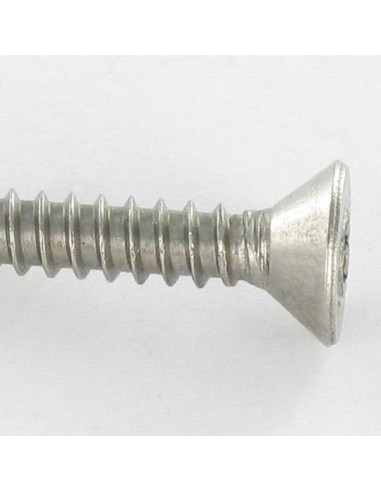 1 x Vite Per Lamiera Di Sicurezza Acciaio Inox...