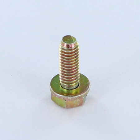 1 x Vite Per Metalli Testa Esagonale Con Intaglio M6X18 Con Rondella Bicromato
