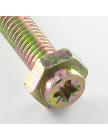 1 x Vite Cassetta Testa Esagonale Pozy M6X45...