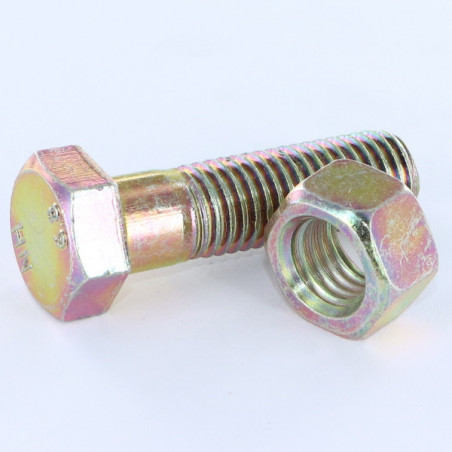 1 x Bullone (Venduto Con Dado) Testa Esagonale M12X20 Bicromato