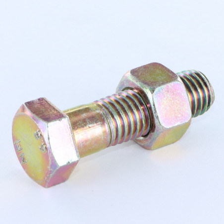 1 x Bullone (Venduto Con Dado) Testa Esagonale M12X25 Bicromato