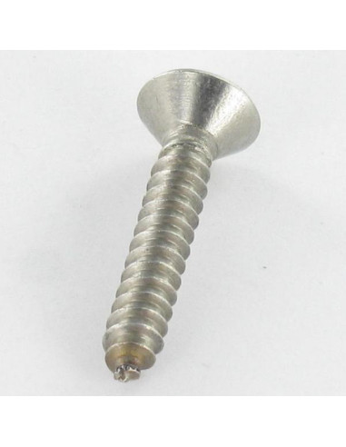 1 x Vite Per Lamiera Di Sicurezza Acciaio Inox...