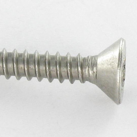 1 x Vite Per Lamiera Di Sicurezza Acciaio Inox A2 Testa Forata T25 con perno 4,8X50