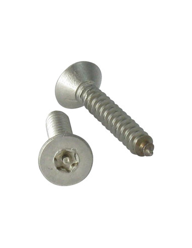 1 x Vite Per Lamiera Di Sicurezza Acciaio Inox...
