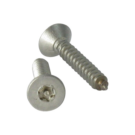 1 x Vite Per Lamiera Di Sicurezza Acciaio Inox A2 Testa Forata T15 con perno 3,5X16