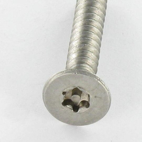 1 x Vite Per Lamiera Di Sicurezza Acciaio Inox A2 Testa Forata T15 con perno 3,5X16