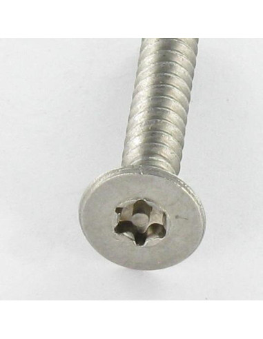 1 x Vite Per Lamiera Di Sicurezza Acciaio Inox...