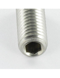 Vite Per Metalli Acciaio Inox A2 Senza Testa Con Cava... 2
