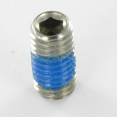 1 x Vite Per Metalli Acciaio Inox A2 Senza Testa Con Cava Esagonale Chiave Esagonale Da 3 M6X8 Punta Piatta + Frenafiletti