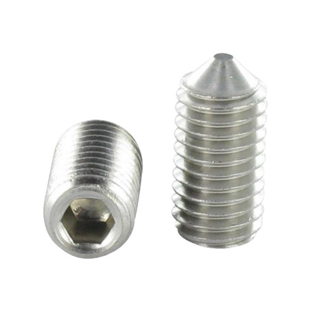 1 x Vite Per Metalli Acciaio Inox A2 Senza Testa Con Cava Esagonale Chiave Esagonale Da 1 M3X5 Punta Conica microviti