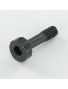 Vite Per Metalli Acciaio Inox A2 PASSIVO Nero Chiave...