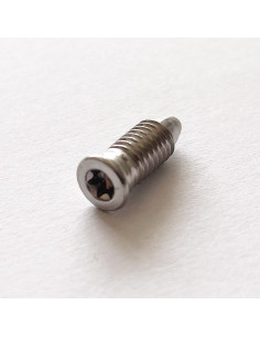 Vite Per Metalli Testa Forata T15 M5X13.5 Acciaio Inox A2
