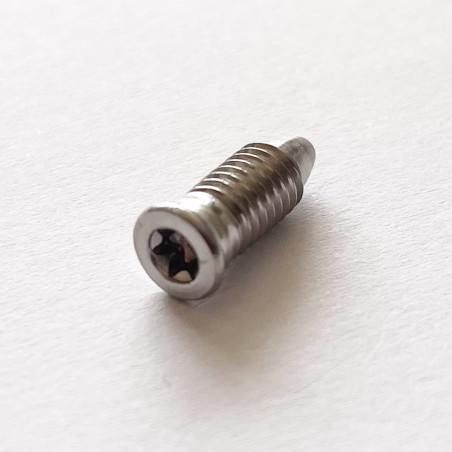 1 x Vite Per Metalli Testa Forata T15 M5X13.5 Acciaio Inox A2