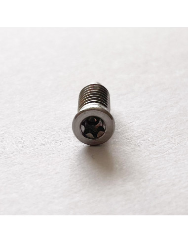 1 x Vite Per Metalli Testa Forata T15 M5X13.5...
