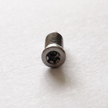 1 x Vite Per Metalli Testa Forata T15 M5X13.5 Acciaio Inox A2