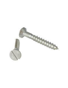 Viti Per Legno Acciaio Inox A2 Testa Forata Con Intaglio...