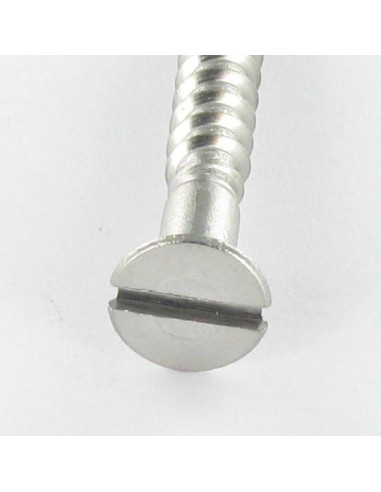 1 x Viti Per Legno Acciaio Inox A2 Testa Forata...