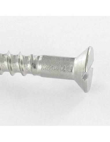 1 x Viti Per Legno Acciaio Inox A2 Testa Forata...