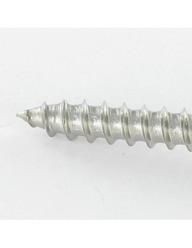 1 x Viti Per Legno Acciaio Inox A2 Testa Forata...