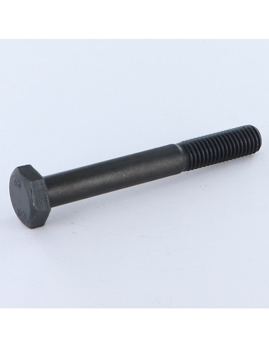 1 x Gambo Del Bullone Parzialmente Filettato...