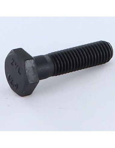 1 x Gambo Del Bullone Parzialmente Filettato...