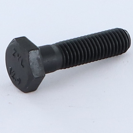 1 x Gambo Del Bullone Parzialmente Filettato Testa Esagonale M6X30 Classe 12.9 Acciaio Grezzo