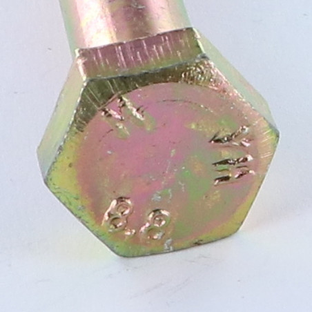 1 x Gambo Del Bullone Parzialmente Filettato Testa Esagonale M10X100 Classe 8.8 Bicromato