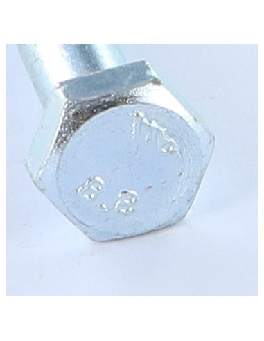 1 x Gambo Del Bullone Parzialmente Filettato...