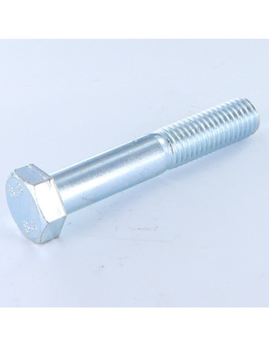 1 x Gambo Del Bullone Parzialmente Filettato...