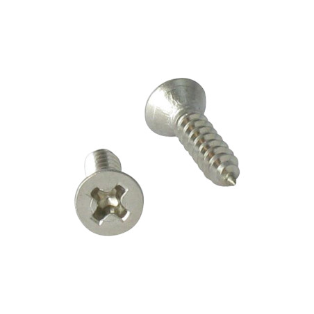 1 x Vite Per Lamiera Testa Forata Phillips 3,5X16 Acciaio Inox A2 Ral9005 Nero Intenso