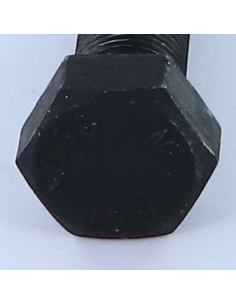 Vite Per Metalli Testa Esagonale M16X55 Classe 10.9...