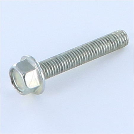 1 x Vite Per Metalli Testa Esagonale M6X40 Zincate Flangia Dentellata