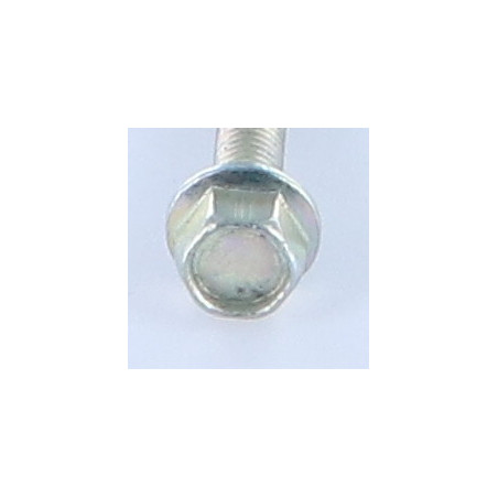 1 x Vite Per Metalli Testa Esagonale M6X40 Zincate Flangia Dentellata