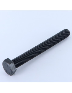 Vite Per Metalli Testa Esagonale M14X55 Discussione...