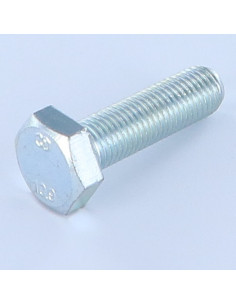 Vite Per Metalli Testa Esagonale M16X40 Classe 10.9...