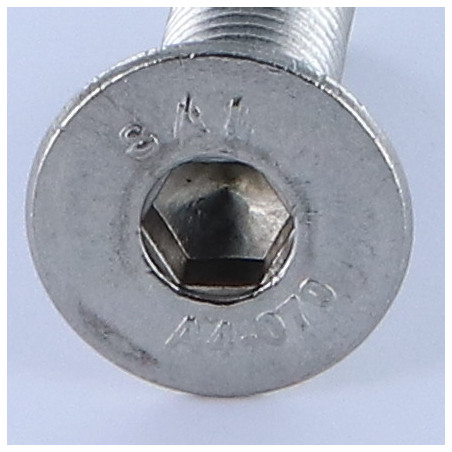 1 x Vite Per Metalli Testa Forata Con Esagono Incassato Chiave Esagonale Da 6 M10X50 Discussione completa Acciaio Inox A4