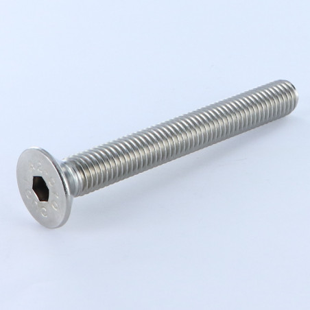 1 x Vite Per Metalli Acciaio Inox A2 Testa Forata Con Esagono Incassato Chiave Esagonale Da 8 M12X100 Discussione completa