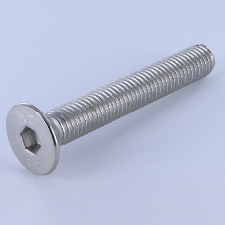 1 x Vite Per Metalli Testa Forata Con Esagono Incassato Chiave Esagonale Da 8 M12X50 Discussione completa Acciaio Inox A4