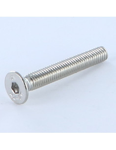 Vite Per Metalli Acciaio Inox A2 Testa Forata Con Esagono...