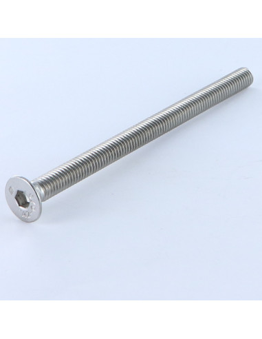 1 x Vite Per Metalli Acciaio Inox A2 Testa...