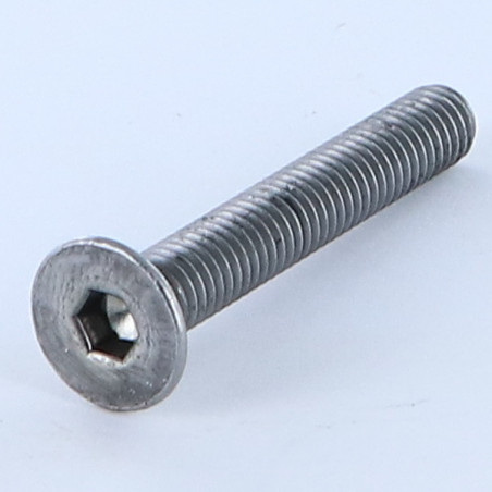 1 x Vite Per Metalli Testa Forata Con Esagono Incassato M6X60 Chiave Esagonale Da 4 Acciaio Grezzo
