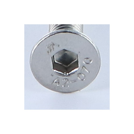 1 x Vite Per Metalli Acciaio Inox A2 Testa Forata Con Esagono Incassato Chiave Esagonale Da 4 M6X55 Discussione completa