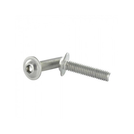 1 x Vite Per Metalli Bei (Testa Bombata Esagono Incassato) Flangia M6X50 Chiave Esagonale Da 4 Acciaio Inox A4