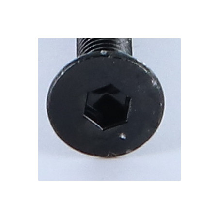1 x Vite Per Metalli Testa Forata Con Esagono Incassato M6X55 Chiave Esagonale Da 4 Acciaio Zincato Nero