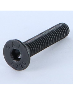 Vite Per Metalli Acciaio Inox A2 Testa Forata Con Esagono...