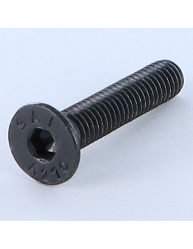 1 x Vite Per Metalli Acciaio Inox A2 Testa...