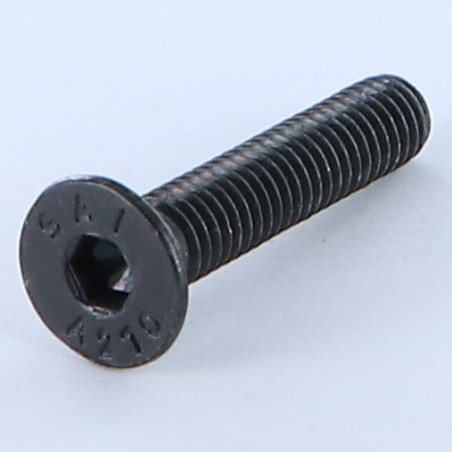 1 x Vite Per Metalli Acciaio Inox A2 Testa Forata Con Esagono Incassato Chiave Esagonale Da 4 M6X30 Nero Discussione