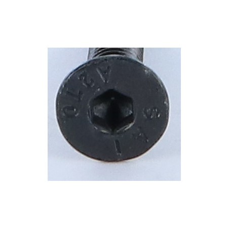 1 x Vite Per Metalli Acciaio Inox A2 Testa Forata Con Esagono Incassato Chiave Esagonale Da 4 M6X30 Nero Discussione