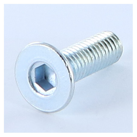 1 x Vite Per Metalli Testa Forata Con Esagono Incassato M6X20 Chiave Esagonale Da 4 Zincate