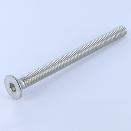 1 x Vite Per Metalli Testa Forata Con Esagono Incassato Chiave Esagonale Da 4 M6X100 Discussione completa Acciaio Inox A4